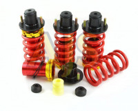 Пружины регулируемые Honda Acura 94-01